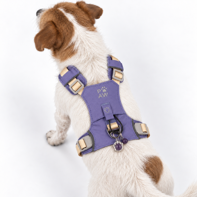 PAW - S (4-8 kg) Psí postroj typu Step-in Guardian s reflexní sítí - levandulová - ametystový přívěšek