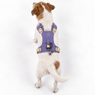 PAW - S (4-8 kg) Psí postroj typu Step-in Guardian s reflexní sítí - levandulová - ametystový přívěšek