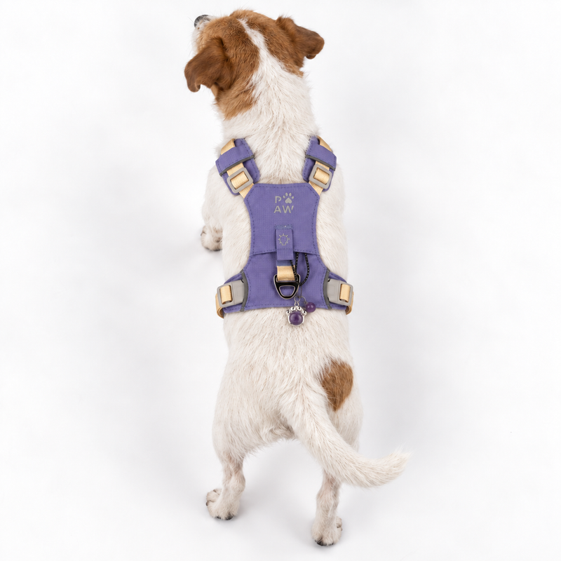 PAW - S (4-8 kg) Psí postroj typu Step-in Guardian s reflexní sítí - levandulová - ametystový přívěšek