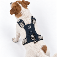 PAW - S (4-8 kg) Psí postroj Guardian se snadným nasazením (step-in) s reflexní síťovinou - kámenově šedá - černý obsidiánový přívěšek