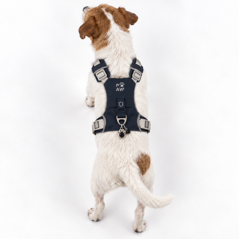 PAW - S (4-8 kg) Psí postroj Guardian se snadným nasazením (step-in) s reflexní síťovinou - kámenově šedá - černý obsidiánový přívěšek