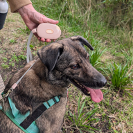 Vodítko Paw Pet - Pocket Pod - růžová - 1,5 m