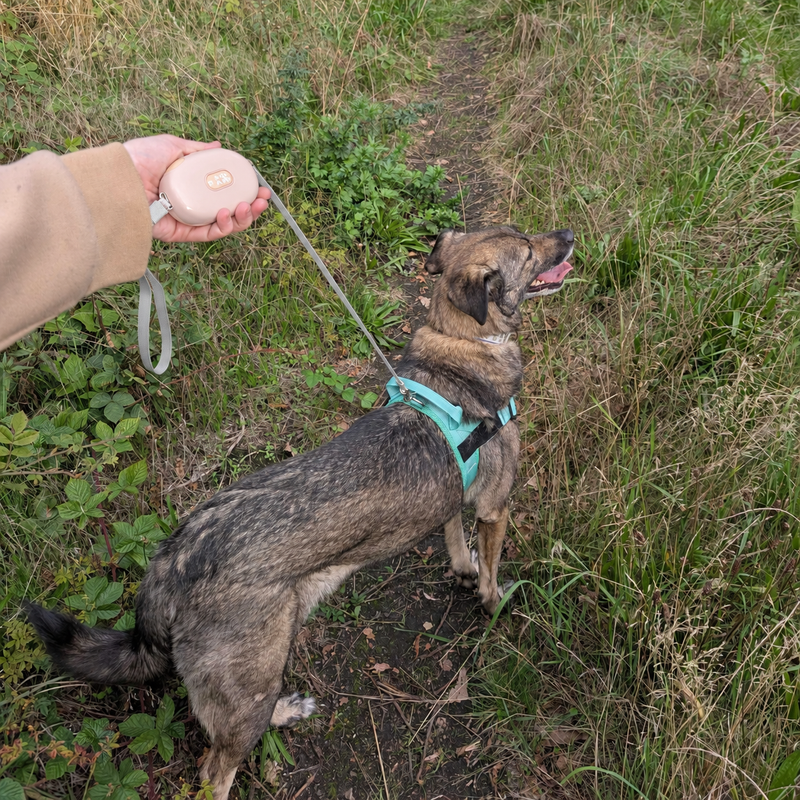 Vodítko Paw Pet - Pocket Pod - růžová - 1,5 m