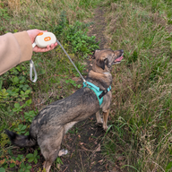 Vodítko Paw Pet - Pocket Pod - Bílá - 1,5 m