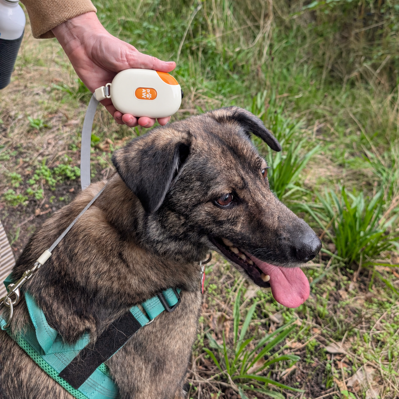 Vodítko Paw Pet - Pocket Pod - Bílá - 1,5 m