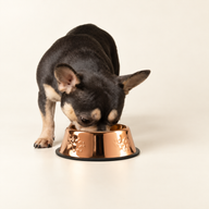 PAW Misky na krmivo - Jednodílné měděné provedení - 18 cm - Nerezová ocel (304)