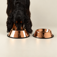 PAW Misky na krmení - měděné provedení - 22 cm - Nerezová ocel (304)