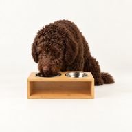 PAW Krmné misky - Velká dvojitá nerezová ocel (201) v dřevěném stojanu - 2×13 cm