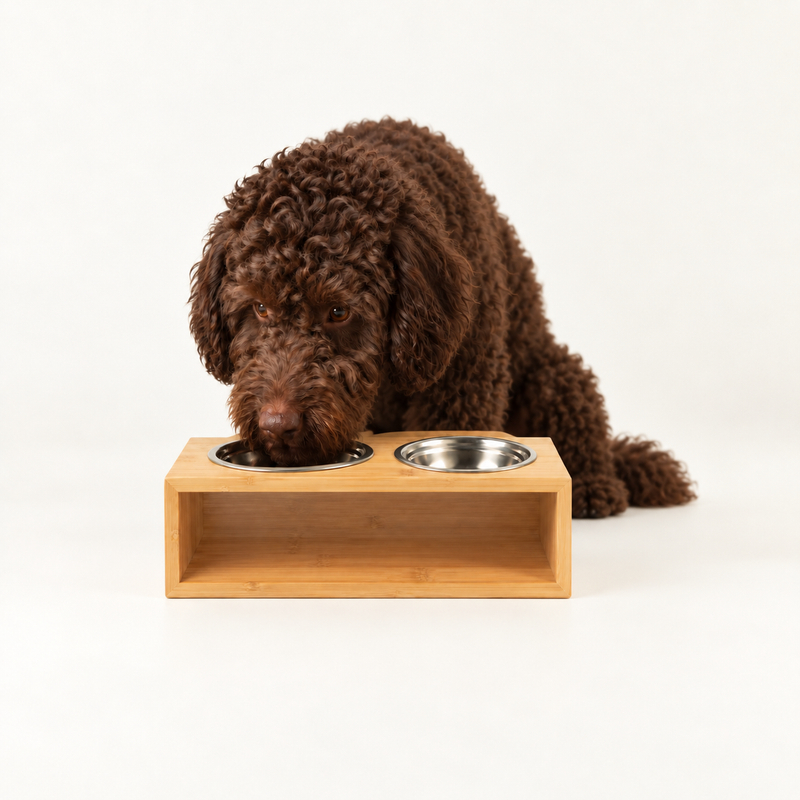 PAW Krmné misky - Velká dvojitá nerezová ocel (201) v dřevěném stojanu - 2×13 cm