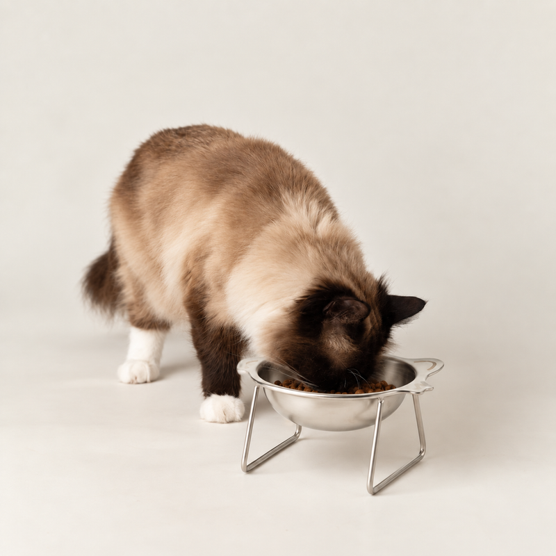 PAW Misky na jídlo - Jedna miska pro kočku na stojanu - Nerezová ocel (304)