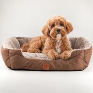 Paw Bed - Malý plyšový medvídek hnědý - 60x45x17 cm