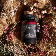 Ancient Witch Startovací Balíček – 69 Kusů | Ušetřete 10 %
