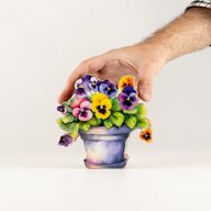 Dřevěné Pokojové Rostliny - Mini Maceška