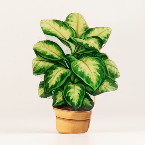 Dřevěné Pokojové Rostliny - Mini Džunglová Rostlina