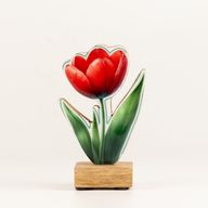 Dřevěné Pokojové Rostliny – Mini Tulipán