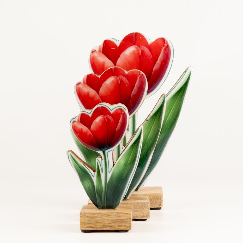 Dřevěné Pokojové Rostliny - Střední Tulipán