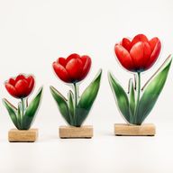 Dřevěné Pokojové Rostliny - Velký Tulipán