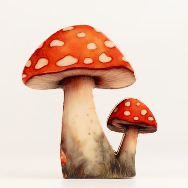 Dřevěné Pokojové Rostliny - Střední Červená Muchomůrka