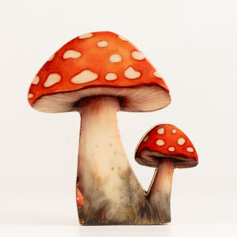 Dřevěné Pokojové Rostliny - Střední Muchomůrka Červená