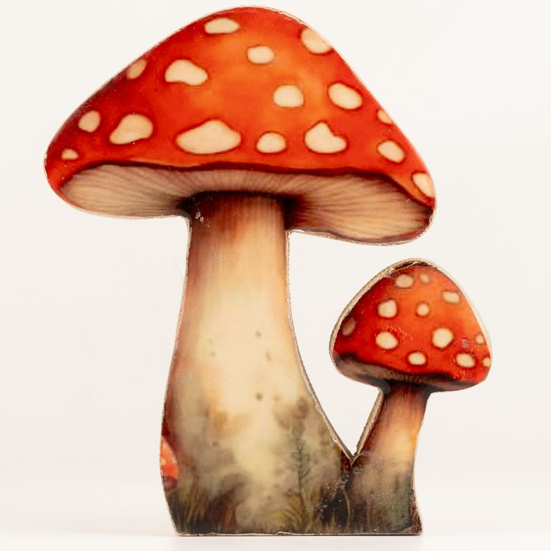 Dřevěné Pokojové Rostliny - Velká Muchomůrka