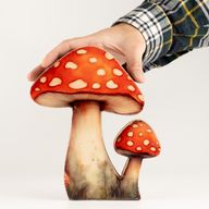 Dřevěné Pokojové Rostliny - Velká Muchomůrka