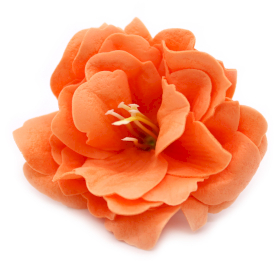 50x Mýdlové Květy - Malá Pivoňka - Oranžová