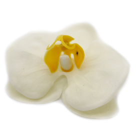25x Mýdlové Květy - Orchidej - Krémová