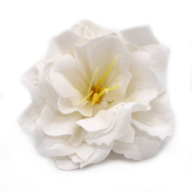 50x Mýdlové Květy - Malá Pivoňka - Bílá