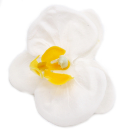 25x Mýdlové Květy - Orchidej - Bílá