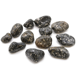 12x Střední Africké Vzácné Kameny - Perlička