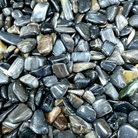 24x Velké Vzácné Kameny - Zkamenělé Dřevo - Černé