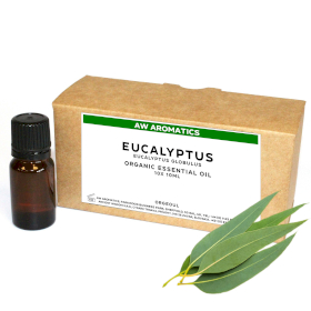 10x Organický Esenciální Olej bez Etikety 10ml - Eukalyptus