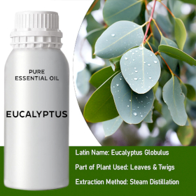 0.5 Kg Eukalyptus Esenciální Olej