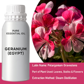 0.5 Kg Pelargonie (Egypt) Esenciální Olej