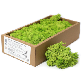 Kvalitní Dekorativní Mech - Světlá Tráva  -  635g Box