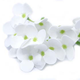 36x Mýdlové Květy - Hortenzie - Bílá