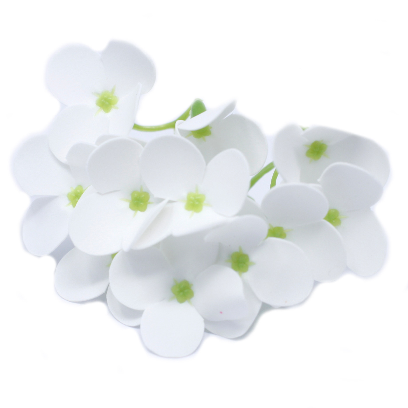 Mýdlové květy - Hyacint - Bílý (36 ks)